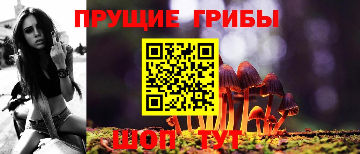 Галлюциногенные грибы GOLDEN TEACHER  Вход с VPN  Балашов 