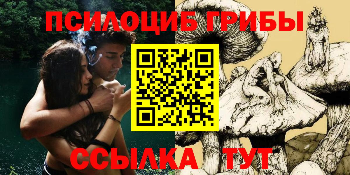Псилоцибиновые грибы GOLDEN TEACHER Балашов